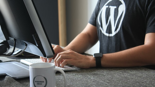 Read more about the article WordPress, γιατί είναι τόσο δημοφιλές;